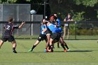 Wheaton Men's Rugby  Wheaton Men's Rugby vs Bridgewater State University.  Photo by Keith Nordstrom : Wheaton, Rugby, BSU